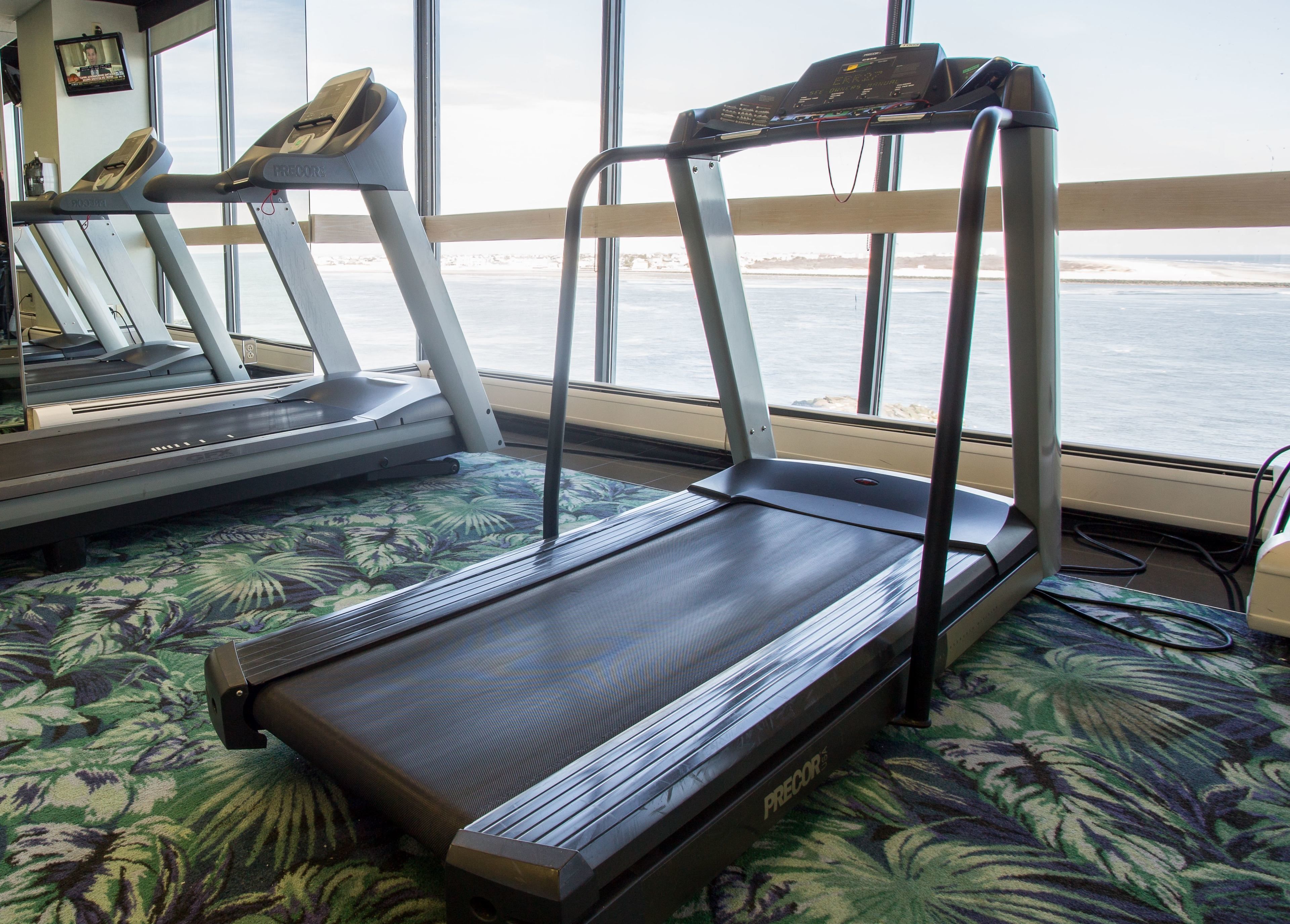 A treadmill and a stationary bike in a room with a large window overlooking a beach.