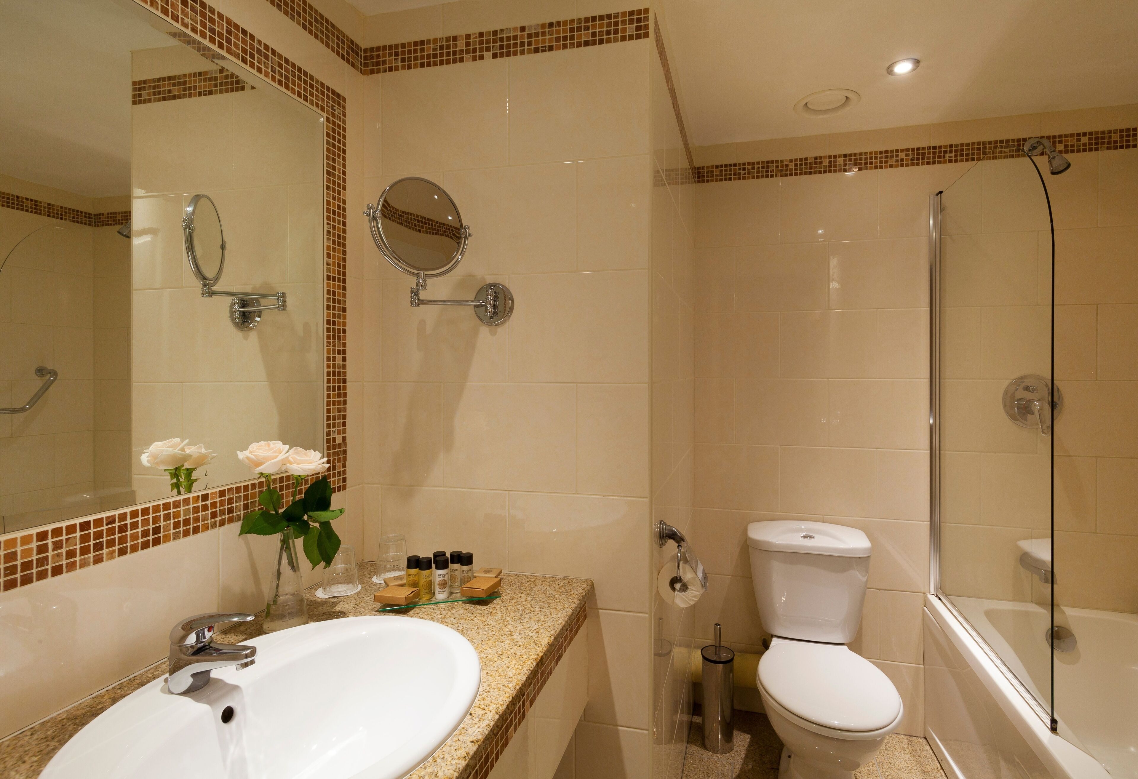 combined shower/bathtub, free toiletries, hair dryer, towels