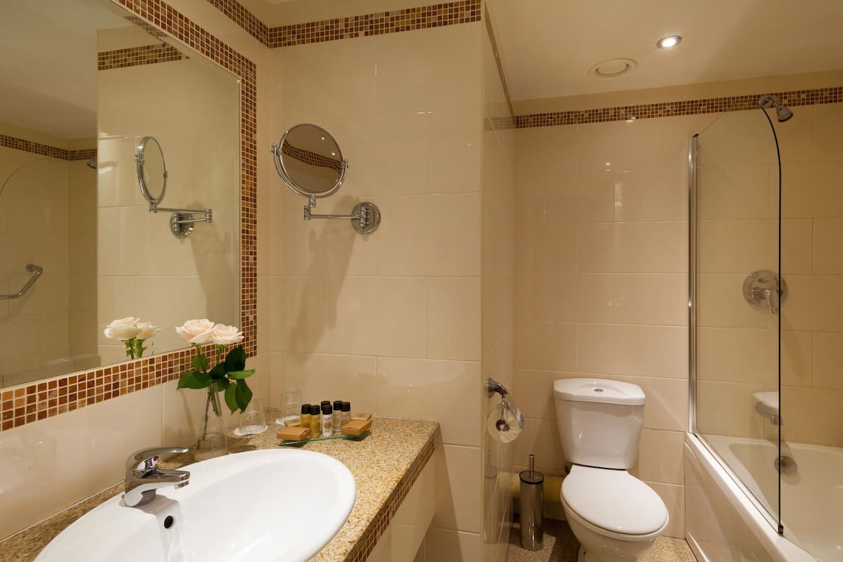 combined shower/bathtub, free toiletries, hair dryer, towels