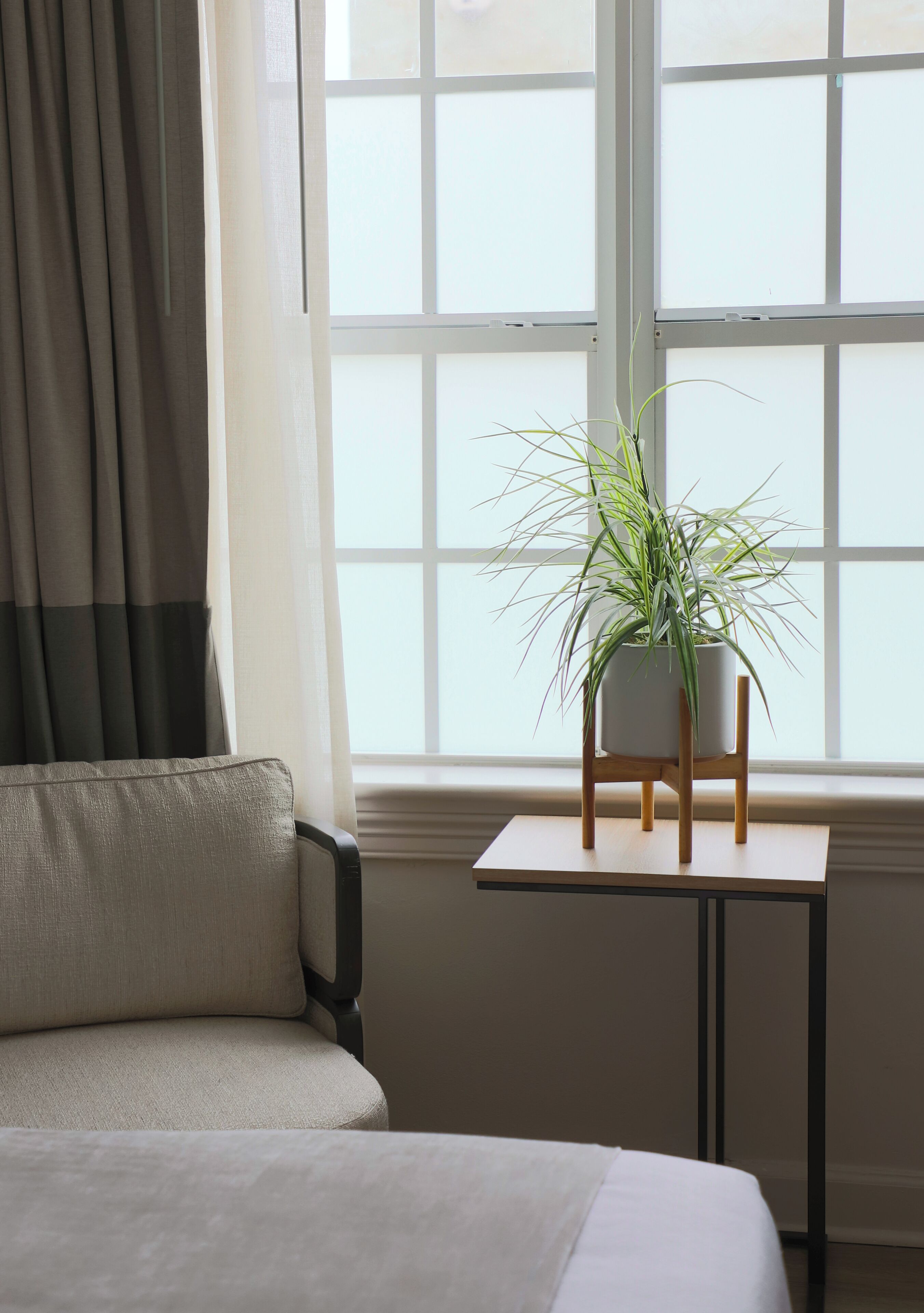 A room with a bed, a small table with a potted plant, and a window with curtains.