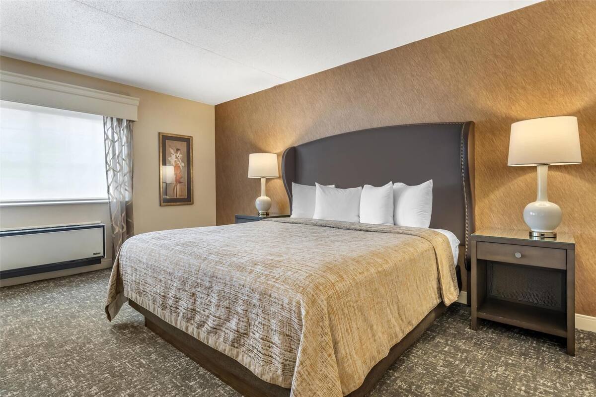 Premium bedding, pillow-top beds, in-room safe, blackout curtains