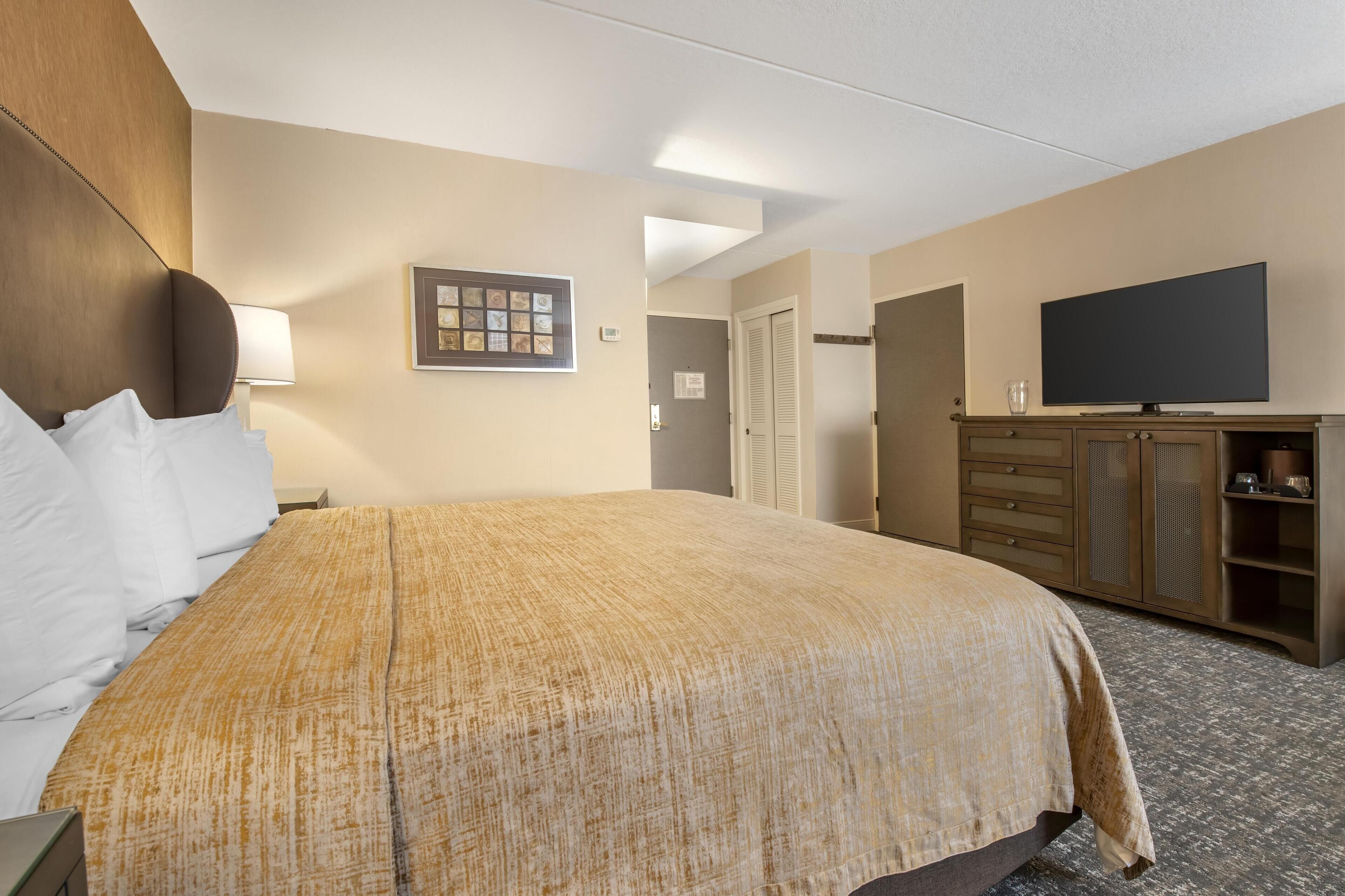 Une chambre d’hôtel avec un grand lit, une télévision, une commode et un tableau encadré au mur.