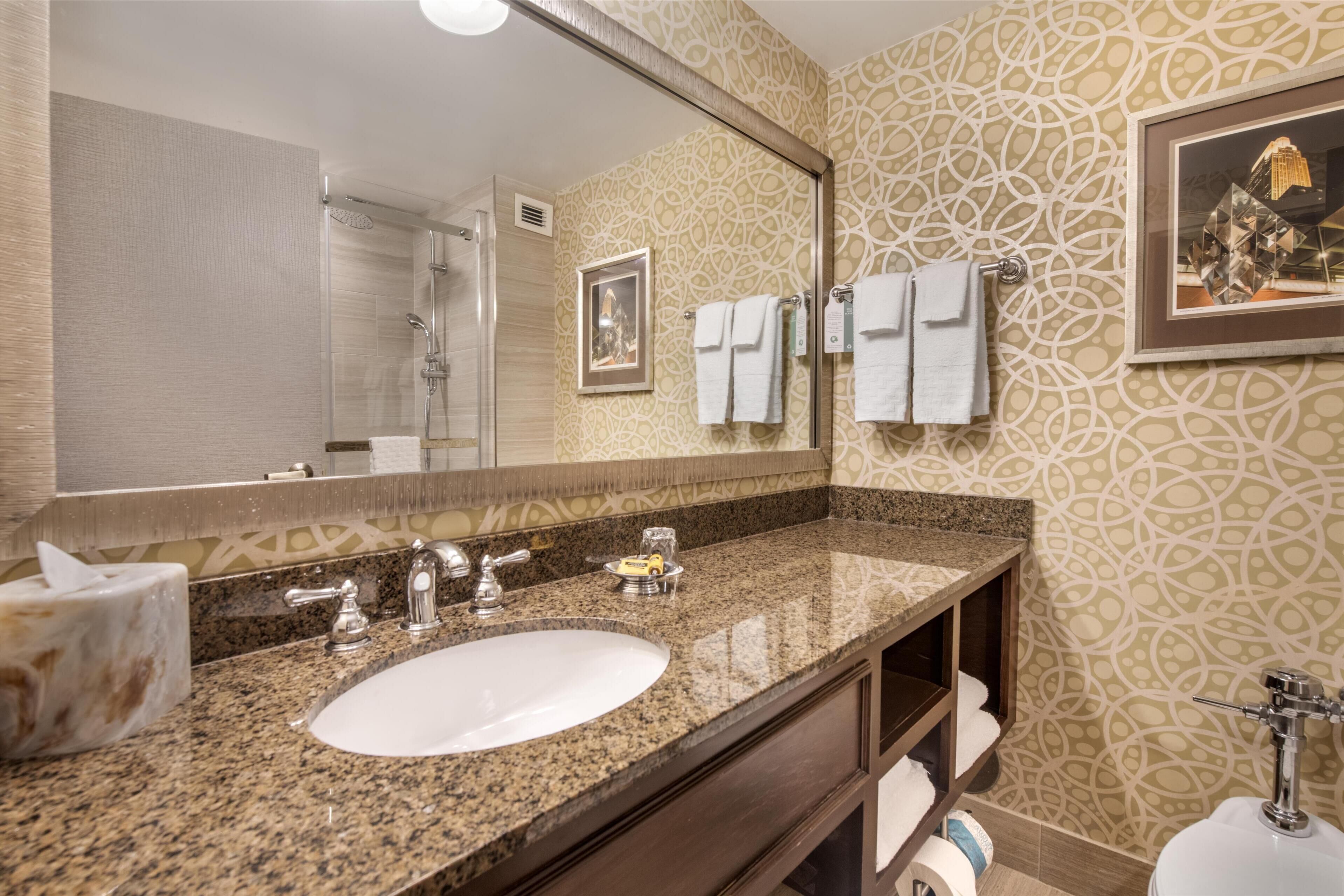 standard room, 1 king bed, non smoking (oversized room;with sofabed) | bathroom | eco-friendly toiletries, hair dryer, towels, soap