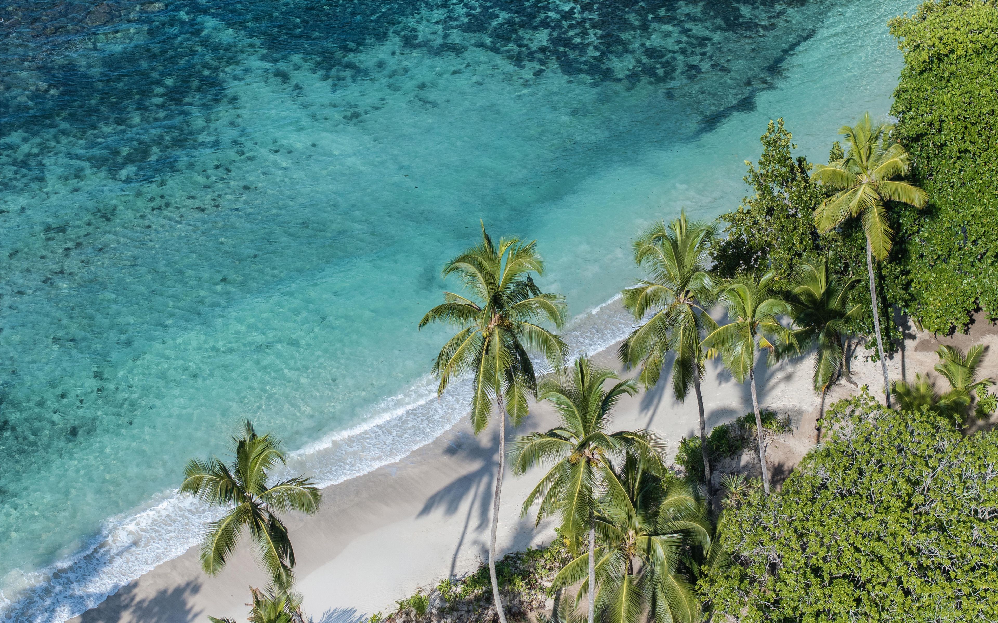 Une plage à l’eau turquoise et cristalline, bordée de palmiers.