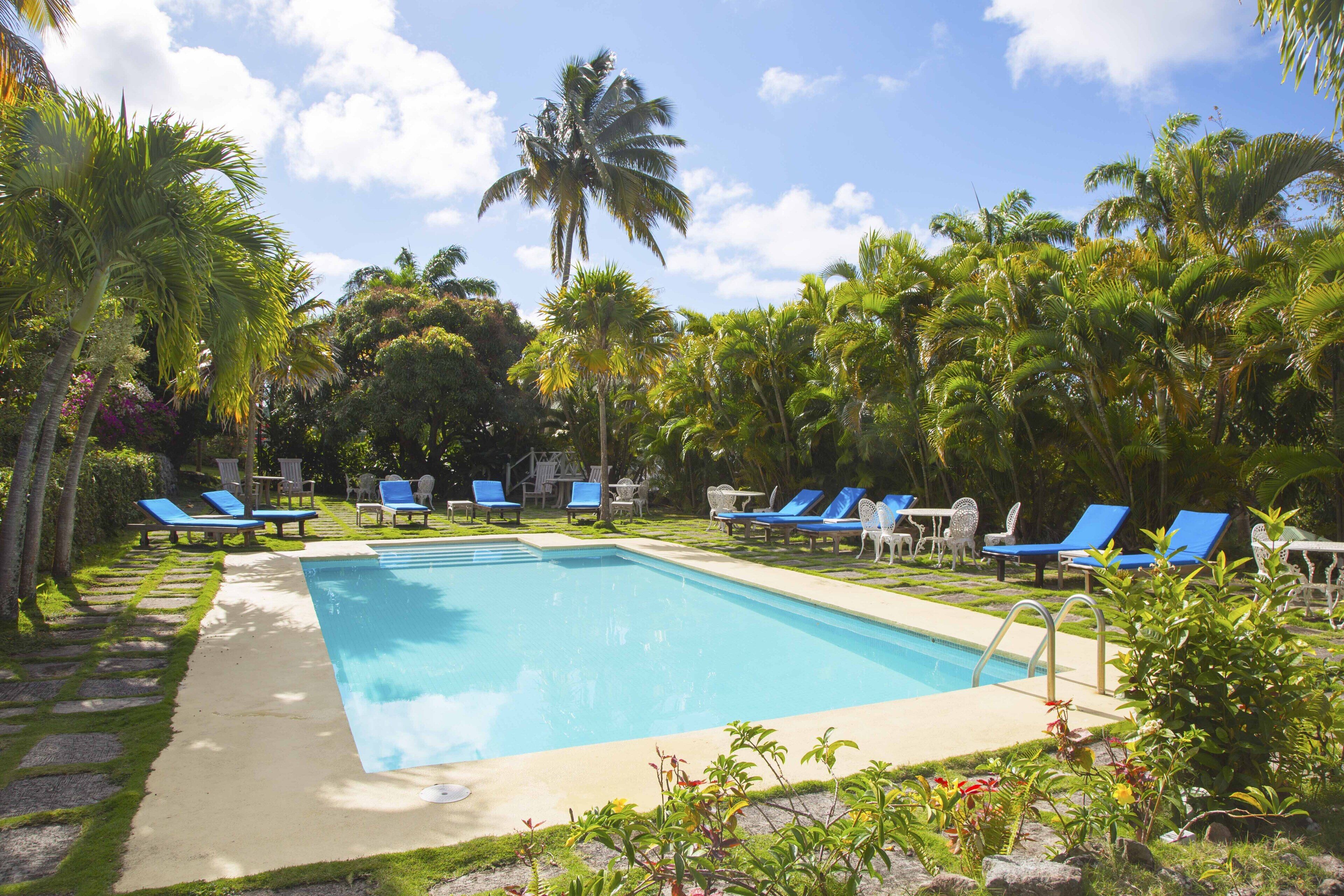 Una piscina rectangular rodeada de palmeras y sillas de descanso azules.