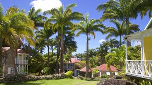 A tropical resort with palm trees, a stone pathway, and a white gazebo. - Hermitage Nevis (Charlestown)