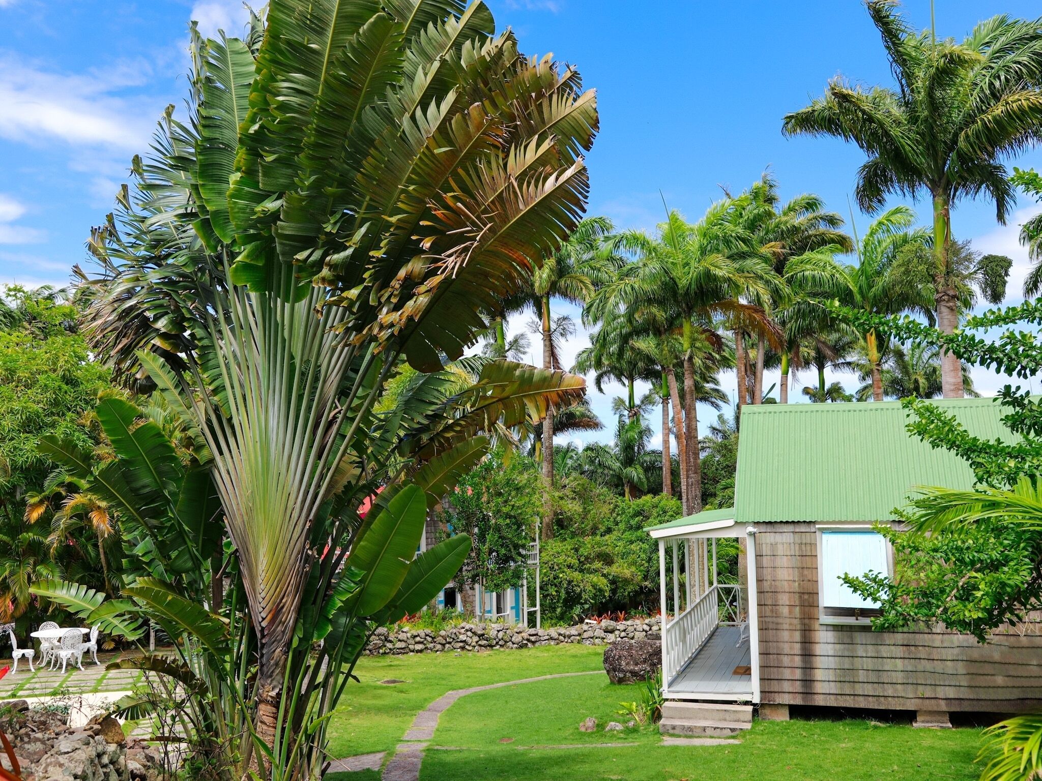 A lush garden with a wooden gazebo, palm trees, and a stone pathway.