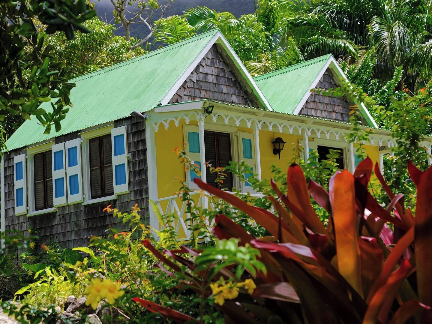 Une petite maison à deux étages, dotée d’un toit végétalisé et entourée d’une végétation tropicale luxuriante.