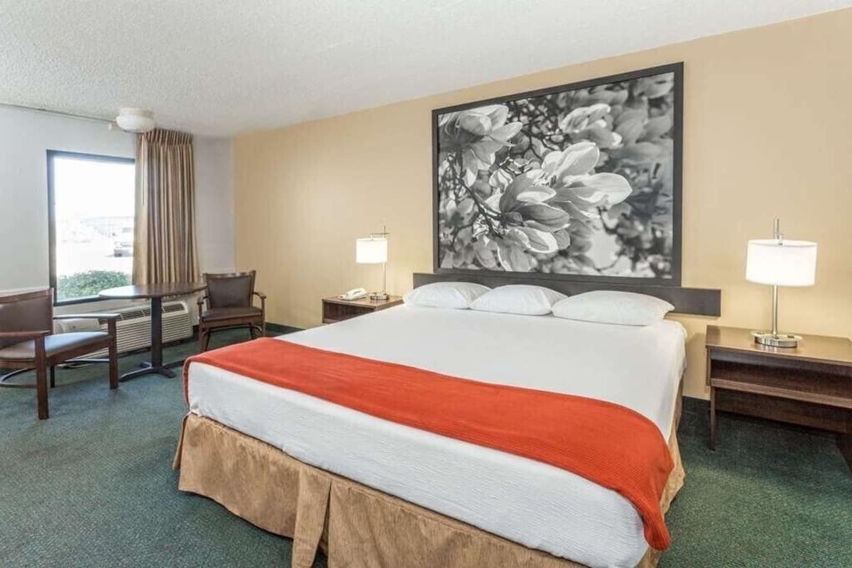Premium bedding, laptop workspace, blackout curtains