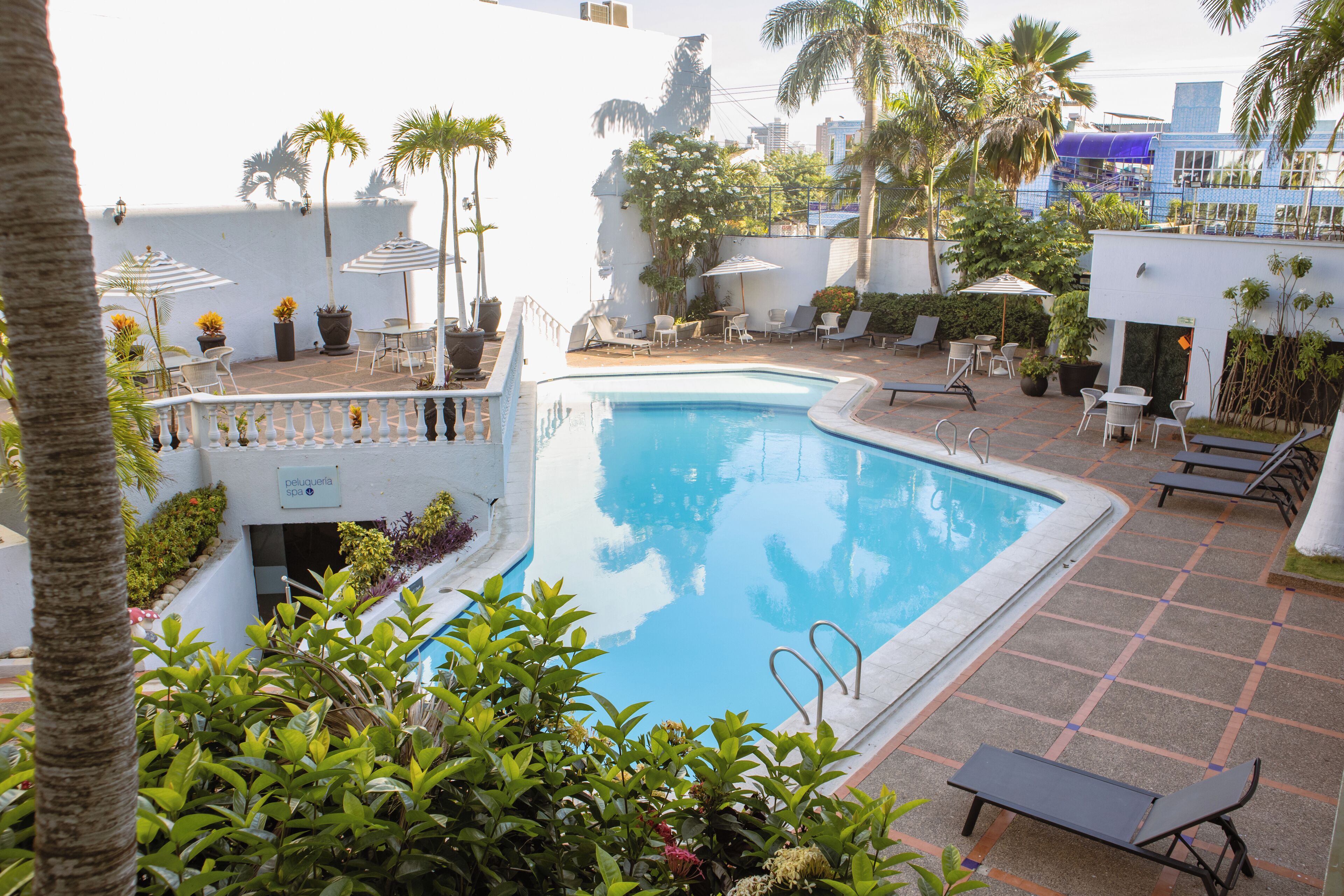 Una piscina con sillones de playa y sombrillas, rodeada de plantas en macetas y palmeras.