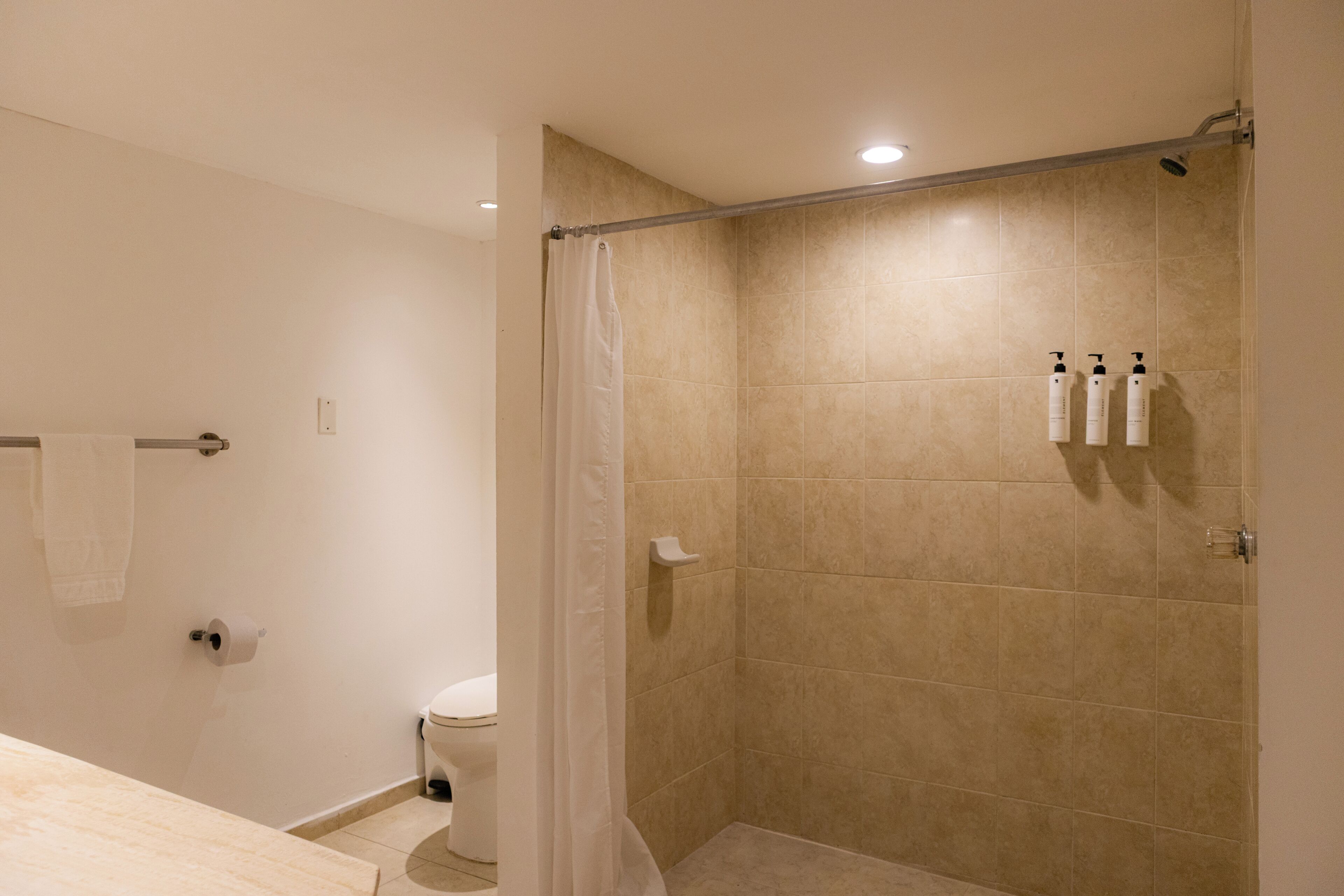 A bathroom with a shower, toilet, and a towel rack.