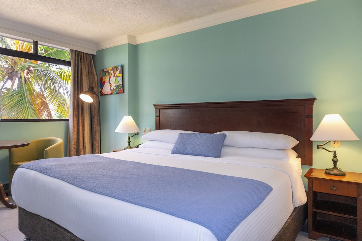 Chambre, 1 très grand lit, non-fumeurs | Literie de qualité supérieure, couette en duvet d'oie, minibar