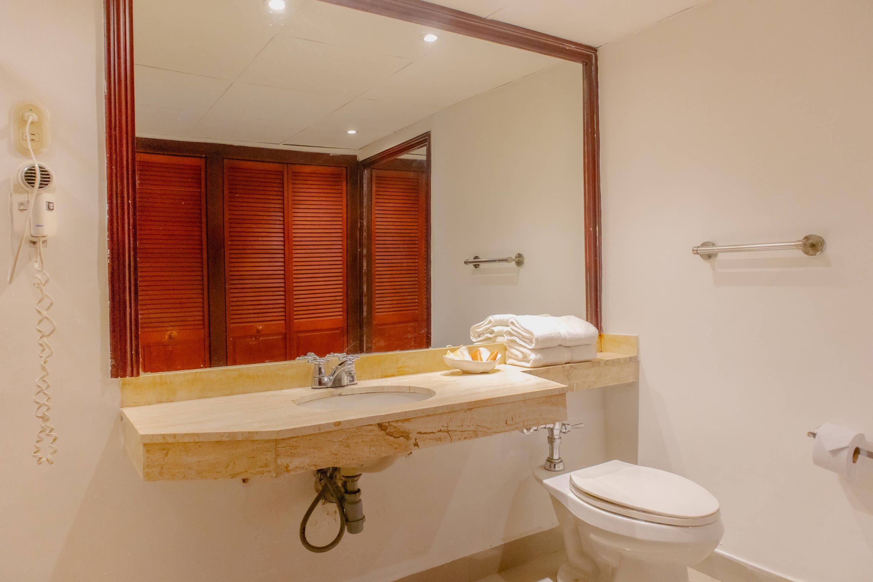 A bathroom with a sink, mirror, toilet, and a towel rack.