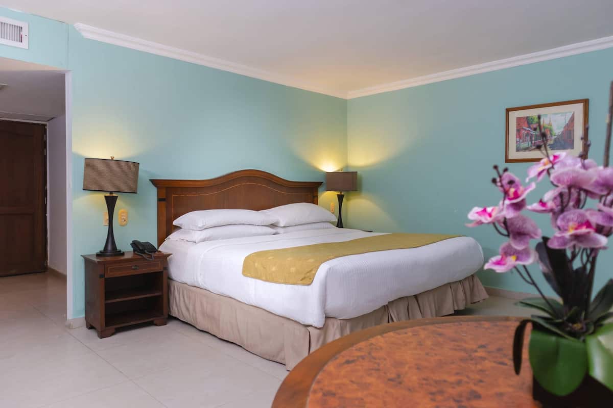 Junior Suite, 1 King Bed, Non Smoking | Premium bedding, down comforters, minibar, in-room safe