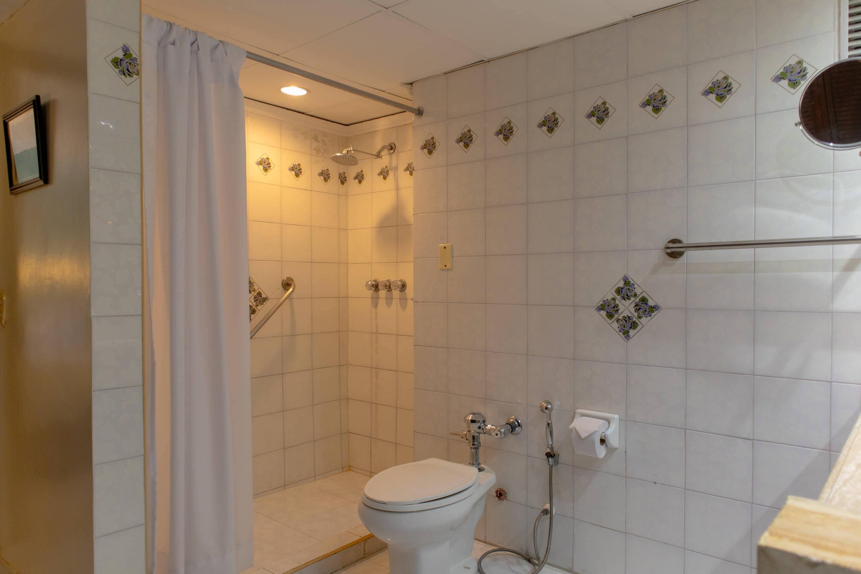 A bathroom with a toilet, shower, and a handrail.
