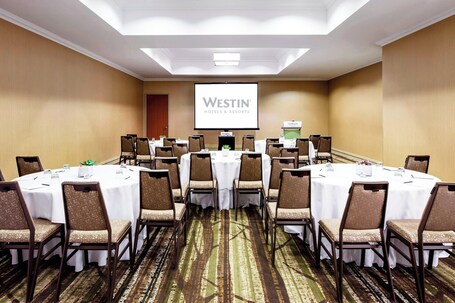 The Westin Michigan Avenue Chicago - Image 43