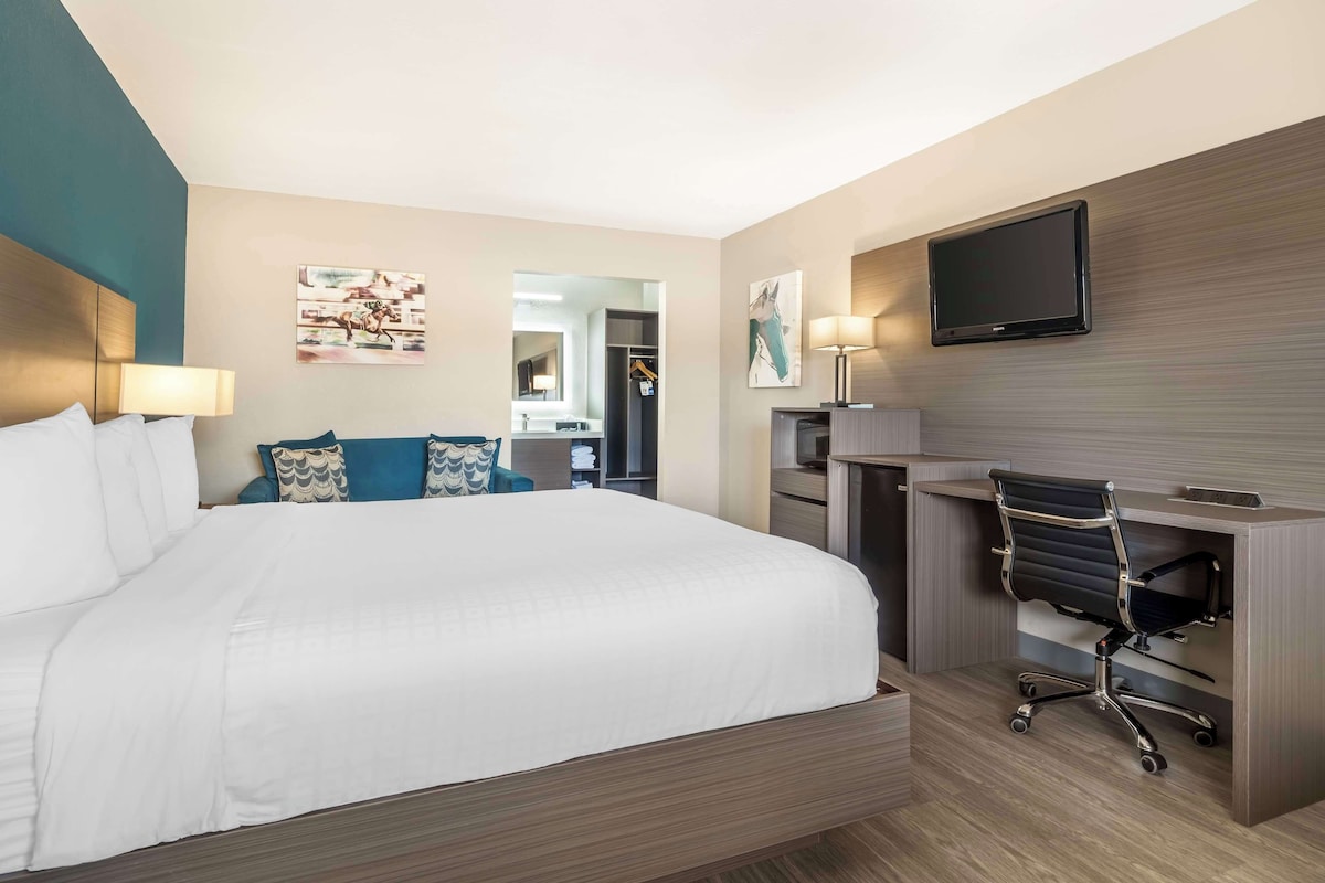 A hotel room with a large bed, a desk with a chair, a television, and artwork on the walls.