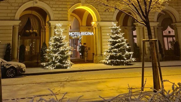 A hotel with a classic facade, arched entrances, and Christmas trees in the foreground. - Hotel Regina (Vienna)