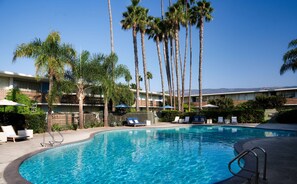Una piscina con sillones de descanso y sombrillas, rodeada de altas palmeras y un edificio de varios pisos con balcones.