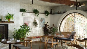 Un restaurante acogedor con muebles de madera, plantas colgantes y una pared de ladrillo rústico.