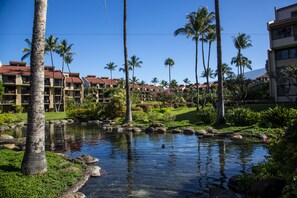 Property grounds - Castle Kama'ole Sands (Kihei)