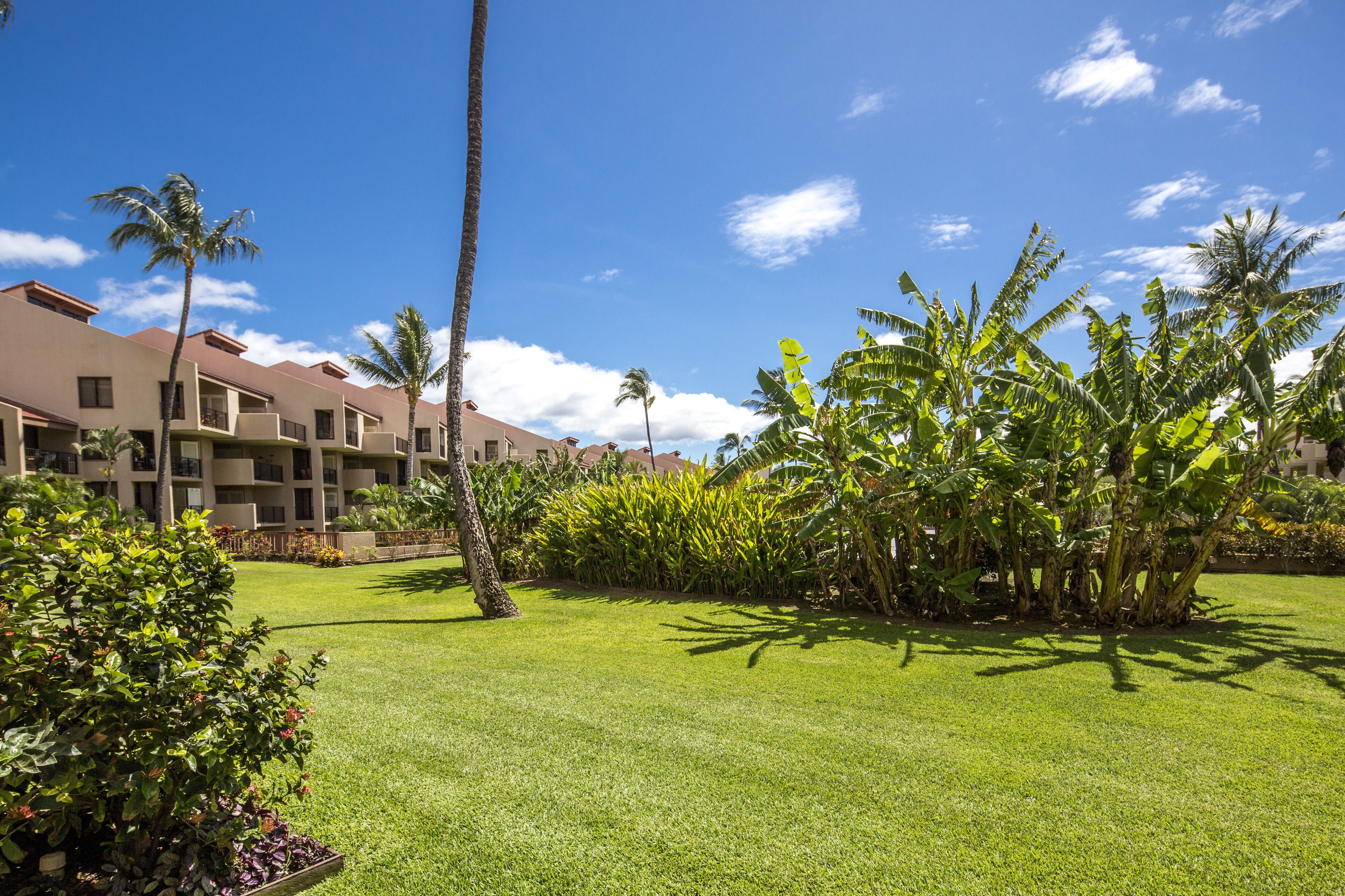 A hotel courtyard with a well-maintained lawn, palm trees, and a clear blue sky.