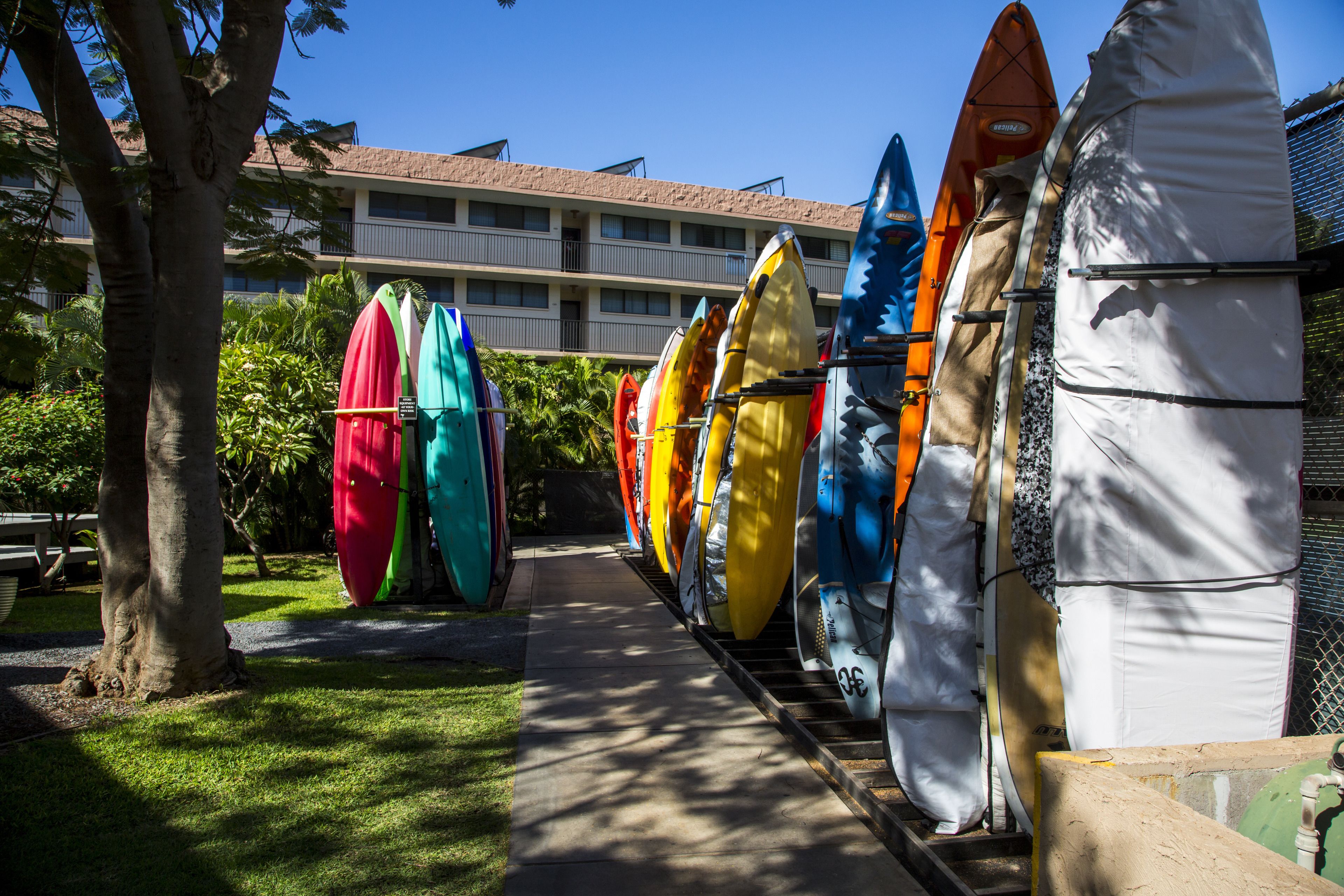 A row of colorful kayaks lined up on a path with a building in the background.