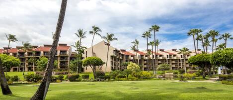 A hotel with multiple buildings, a well-maintained lawn, and several palm trees.