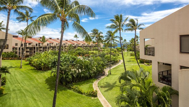 Un resort con varias edificaciones, palmeras y céspedes bien cuidados.