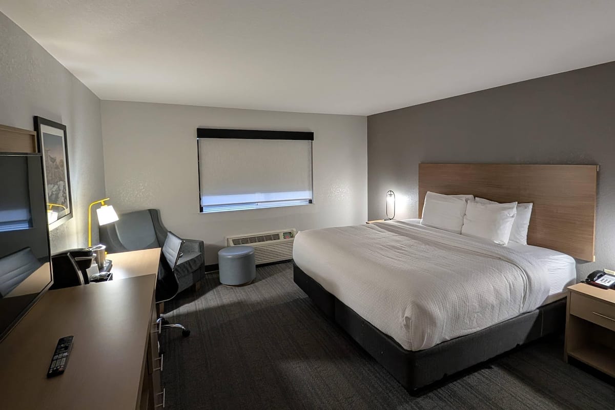 Standard Room, 1 King Bed, Non Smoking | Desk, laptop workspace, iron/ironing board, free WiFi