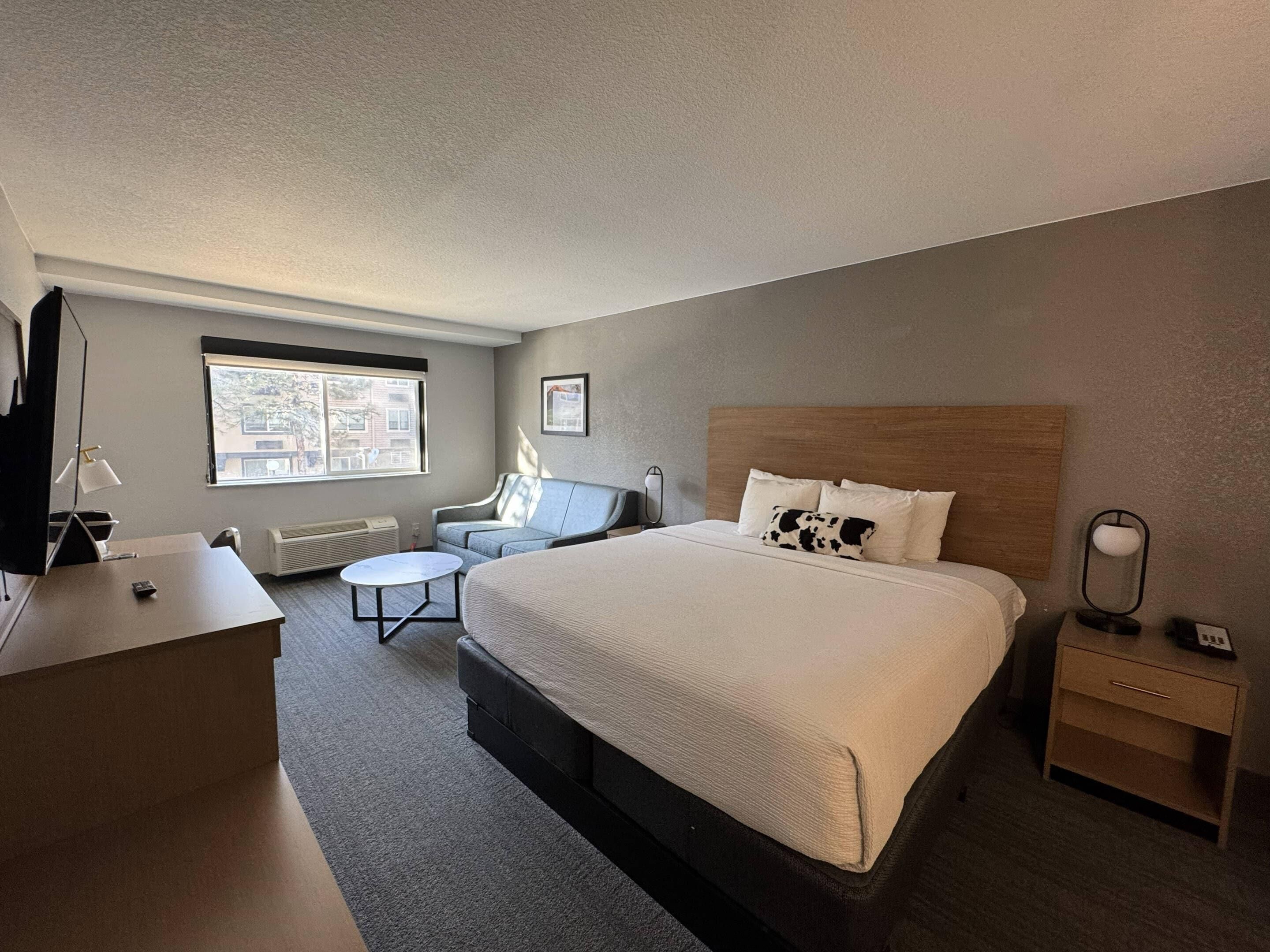 Standard Room, 1 King Bed with Sofa bed, Non Smoking