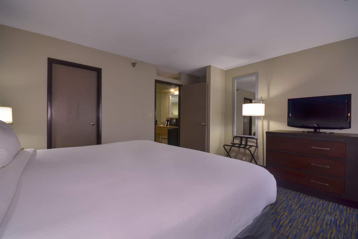 Suite, 1 Bedroom | In-room safe, desk, iron/ironing board, WiFi