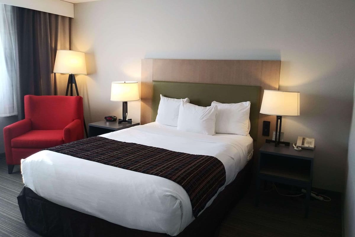 Room, 1 Queen Bed, Non Smoking | Desk, iron/ironing board, cribs (free), WiFi (free)