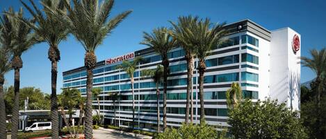 Un hotel Sheraton con diseño moderno, que presenta una amplia fachada de vidrio y palmeras en primer plano.