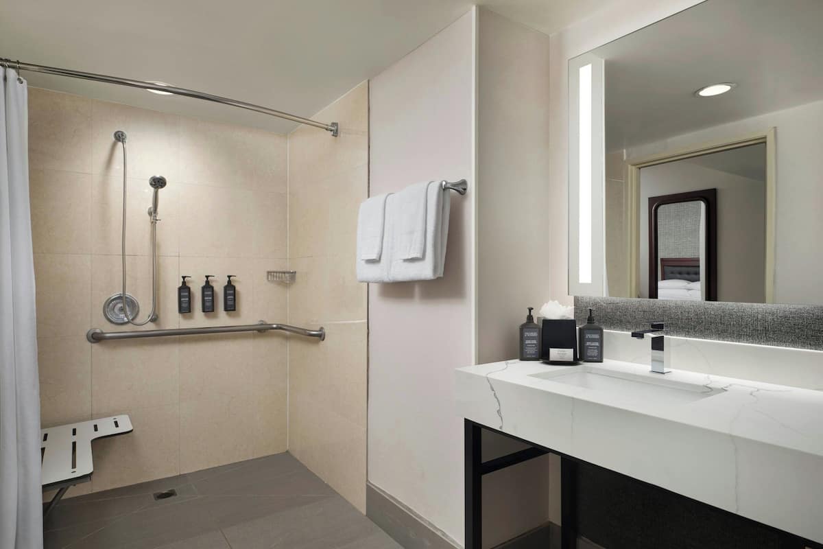 combined shower/bathtub, free toiletries, hair dryer, towels