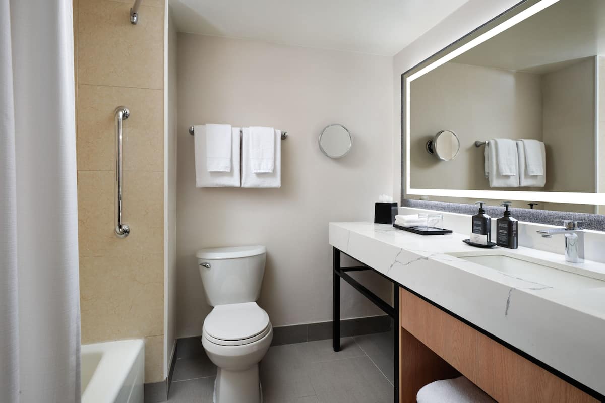 combined shower/bathtub, free toiletries, hair dryer, towels