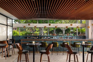 Bar (en la propiedad)