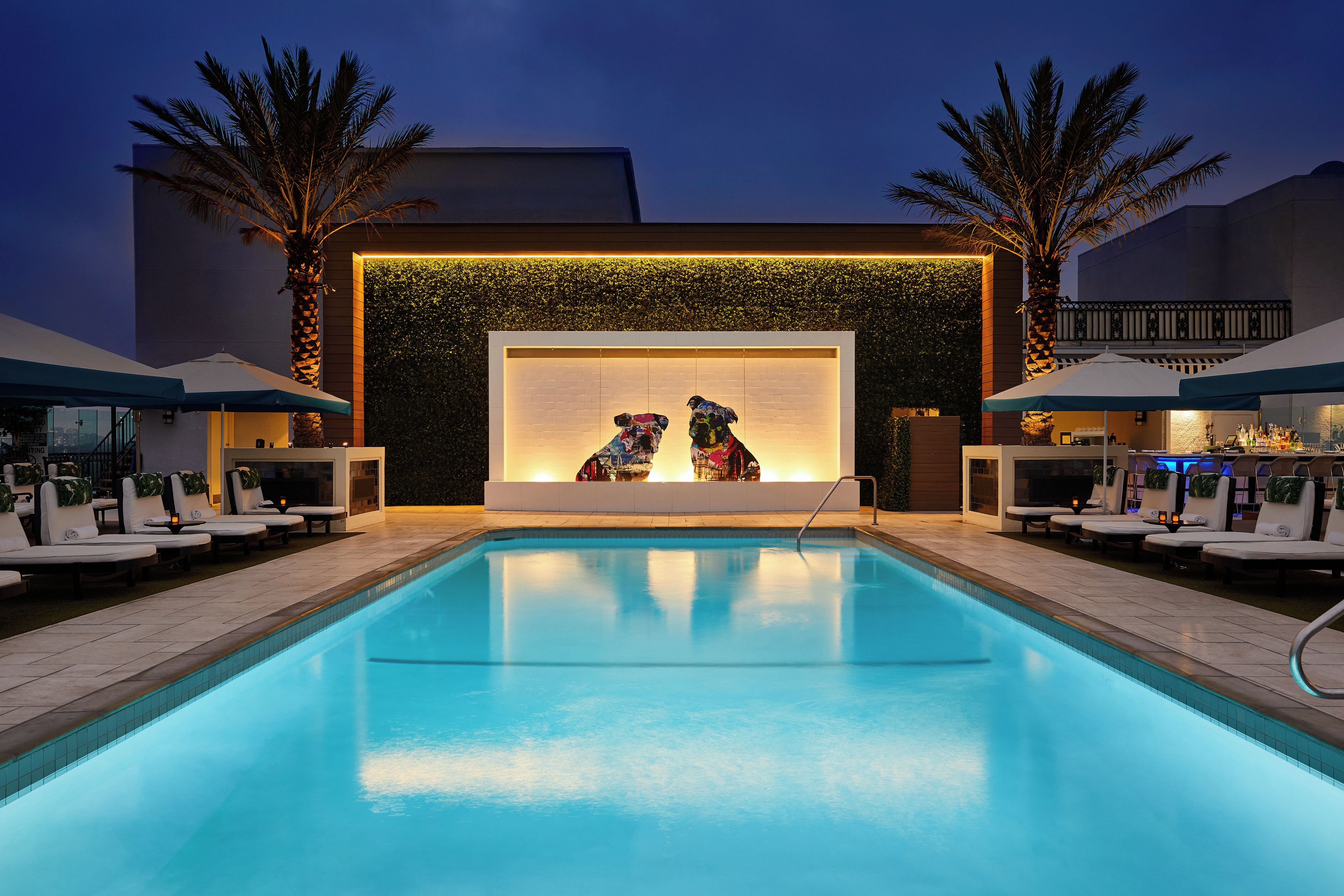 A swimming pool with lounge chairs and umbrellas, a wall with a green hedge, and a building in the background.
