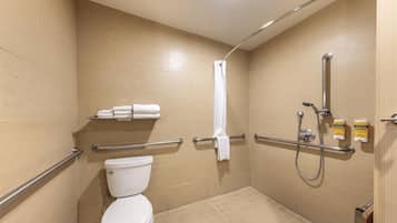 Un baño accesible para personas con movilidad reducida, con inodoro, barras de apoyo, ducha con cabezal de ducha manual y toallero.