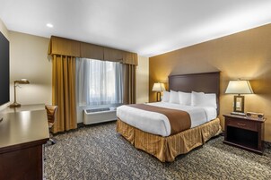 Habitación de hotel con una cama grande, un escritorio, una silla, un televisor, una lámpara, un calentador y una mesita con una radio.