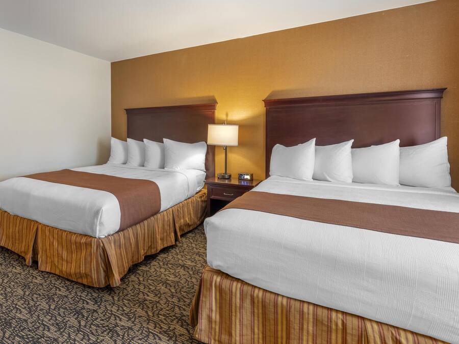 A hotel room with two beds, each with a brown headboard, white bedding, and a patterned carpet.
