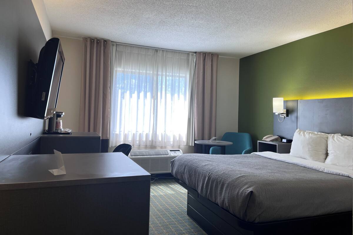 Una habitación de hotel con cama, escritorio, silla y televisor.