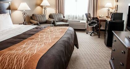 Quality Inn Seekonk - Providence
