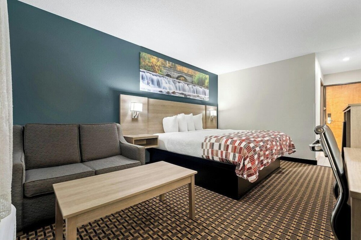 Habitación de hotel con cama, sofá, una mesita, alfombra estampada y un cuadro de una cascada en la pared.