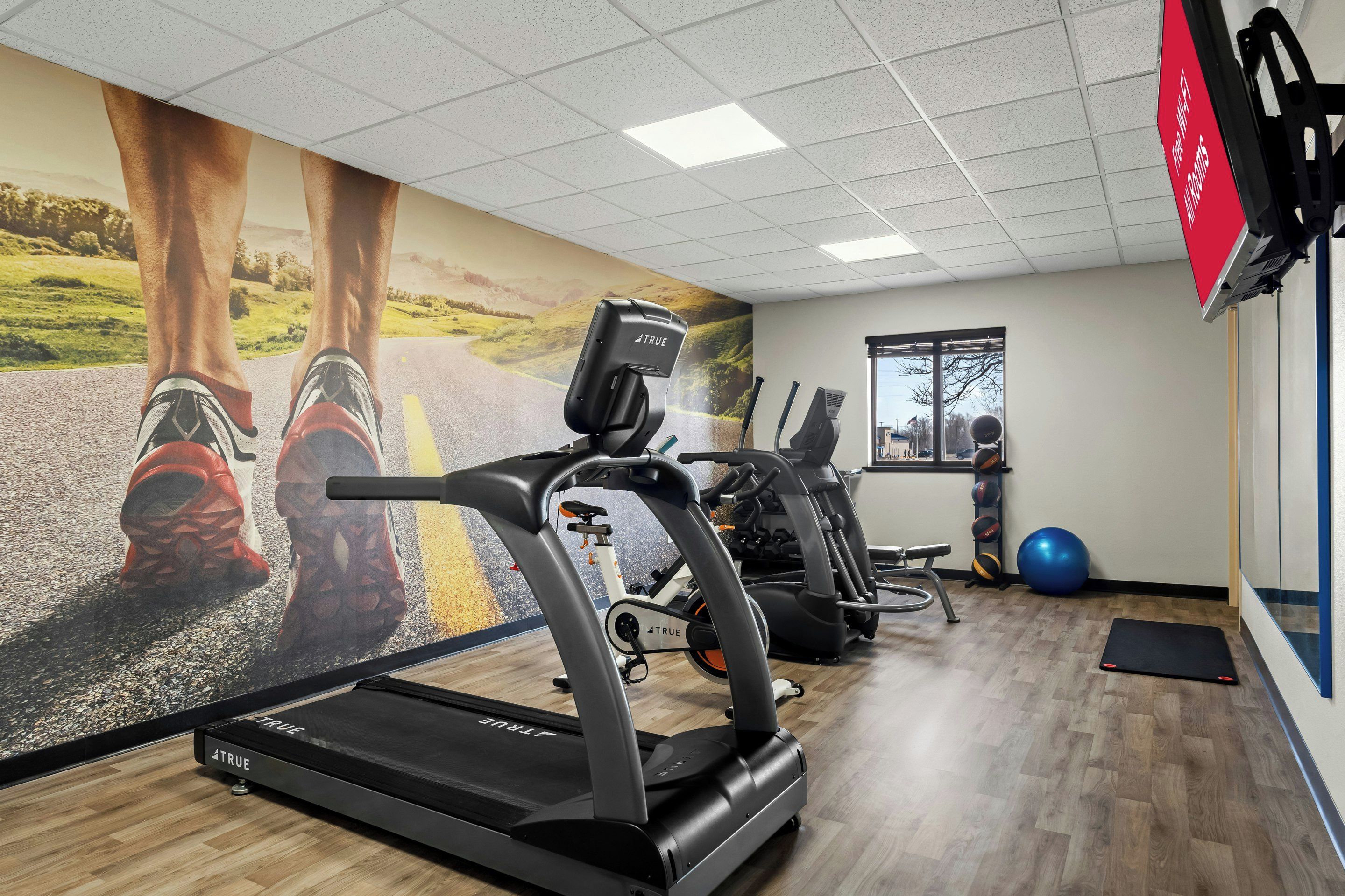 Uma academia com esteiras, bicicletas ergométricas e bolas de exercício.