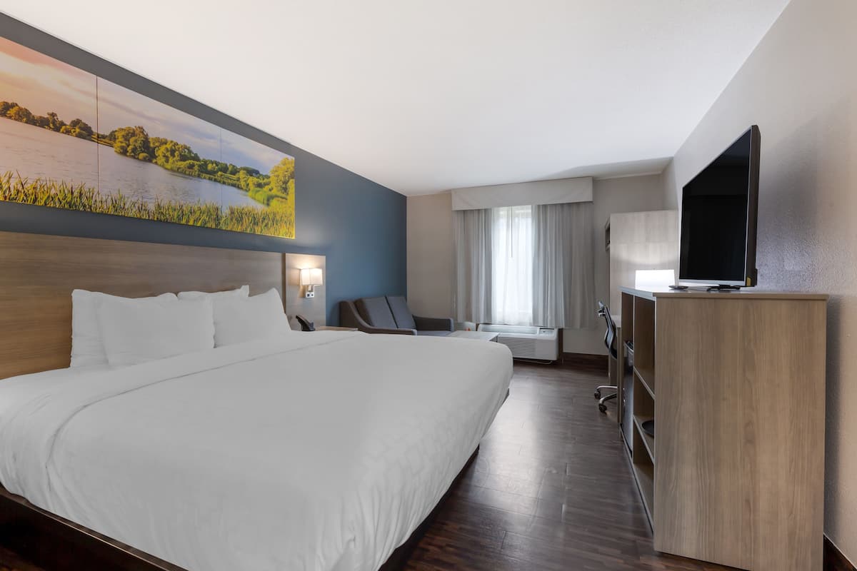 Standard Room, 1 King Bed, Non Smoking | Desk, blackout drapes, soundproofing, iron/ironing board