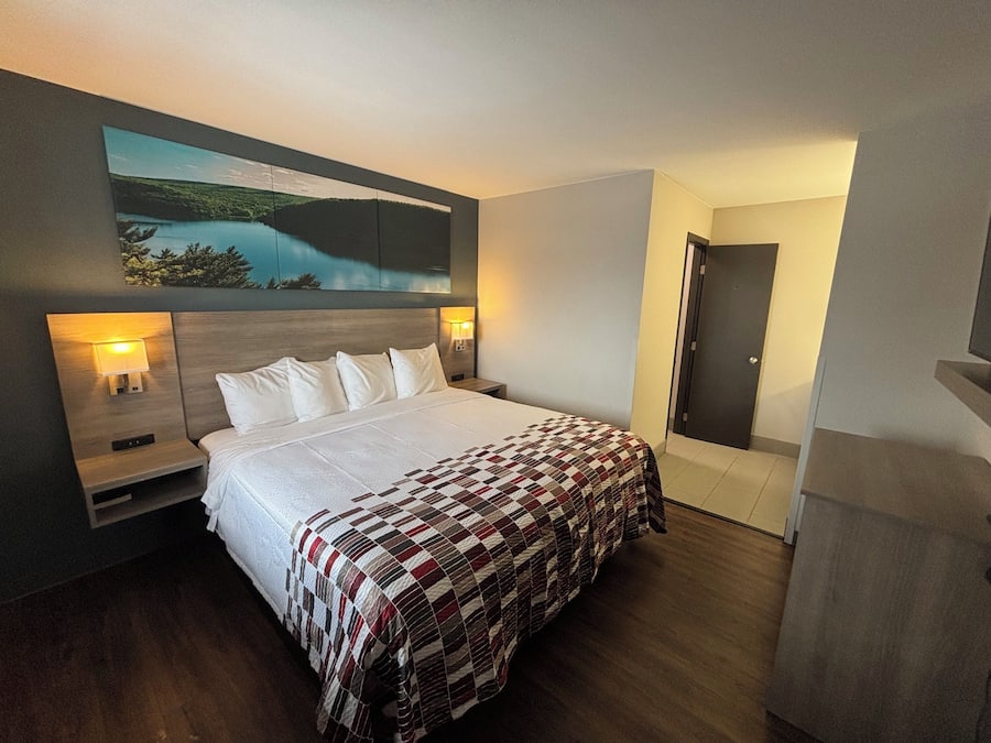 Suite, 1 King Bed, Non Smoking | Desk, laptop workspace, blackout drapes, free WiFi