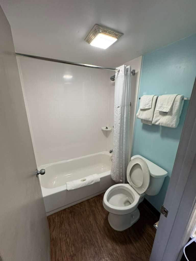 A bathroom with a bathtub, toilet, and a shower curtain.