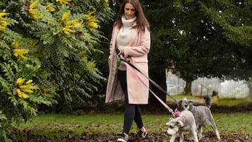 Una persona paseando un perro en un parque con árboles y hojas caídas.