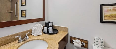 Un baño de hotel con lavamanos de encimera de granito, un espejo, dos cuadros enmarcados, un dispensador de papel higiénico y un cubo de basura.